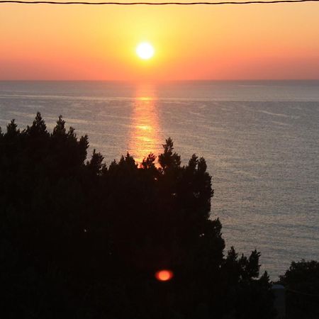 Playa Des Figueral阿雷纳多尔旅馆公寓 外观 照片