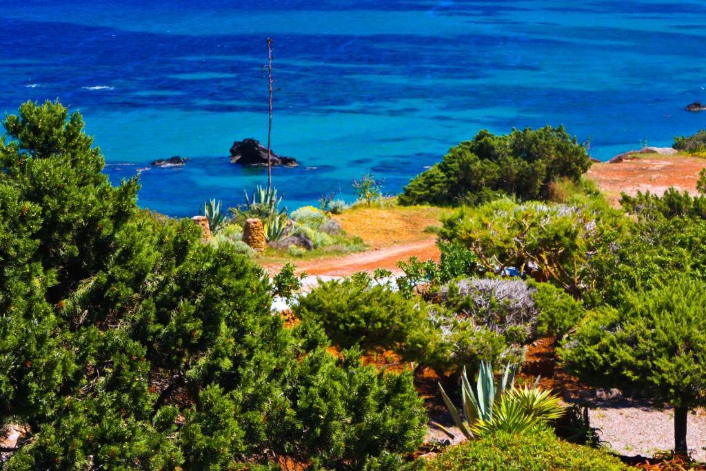Playa Des Figueral阿雷纳多尔旅馆公寓 客房 照片